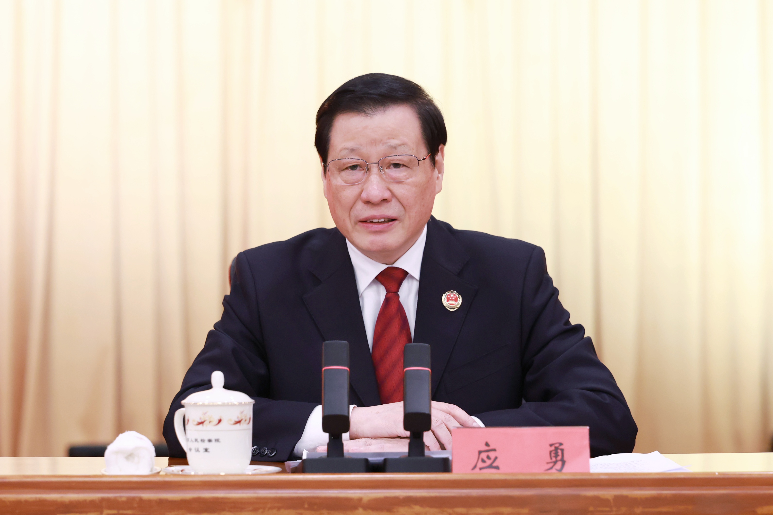 应勇在全国检察机关开展深化扫黑除恶专项斗争动员部署会上强调 始终保持对黑恶犯罪的高压态势