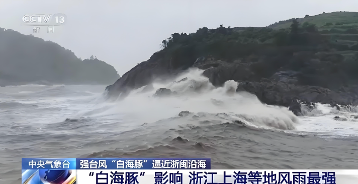 逆风前行，迎战“白海豚”